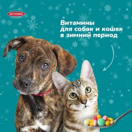 Витамины для кошек и собак в зимний период - Действует с 02.02.2022 до 28.02.2022